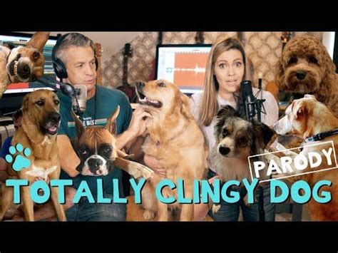 total eclipse of the heart parody|holderness family dog.